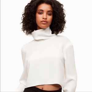 NWT Aritzia Babaton Rembrandt blouse. Size small